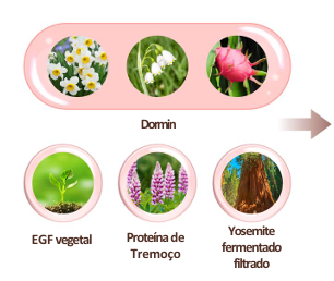 Ingredientes do Atomy Absolute Reset Balm