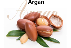Argan