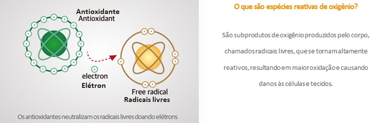 Diagrama de função antioxidante